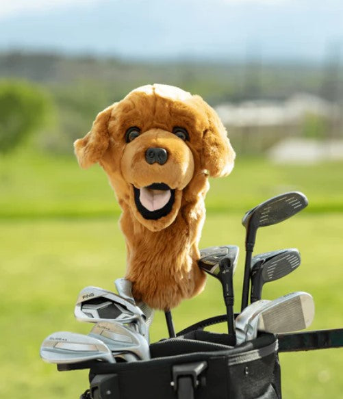 Daphne's Headcover - Golden Retriever Dog